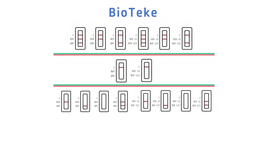 rota adeno noro virus test hasil tes virus rota adeno noro