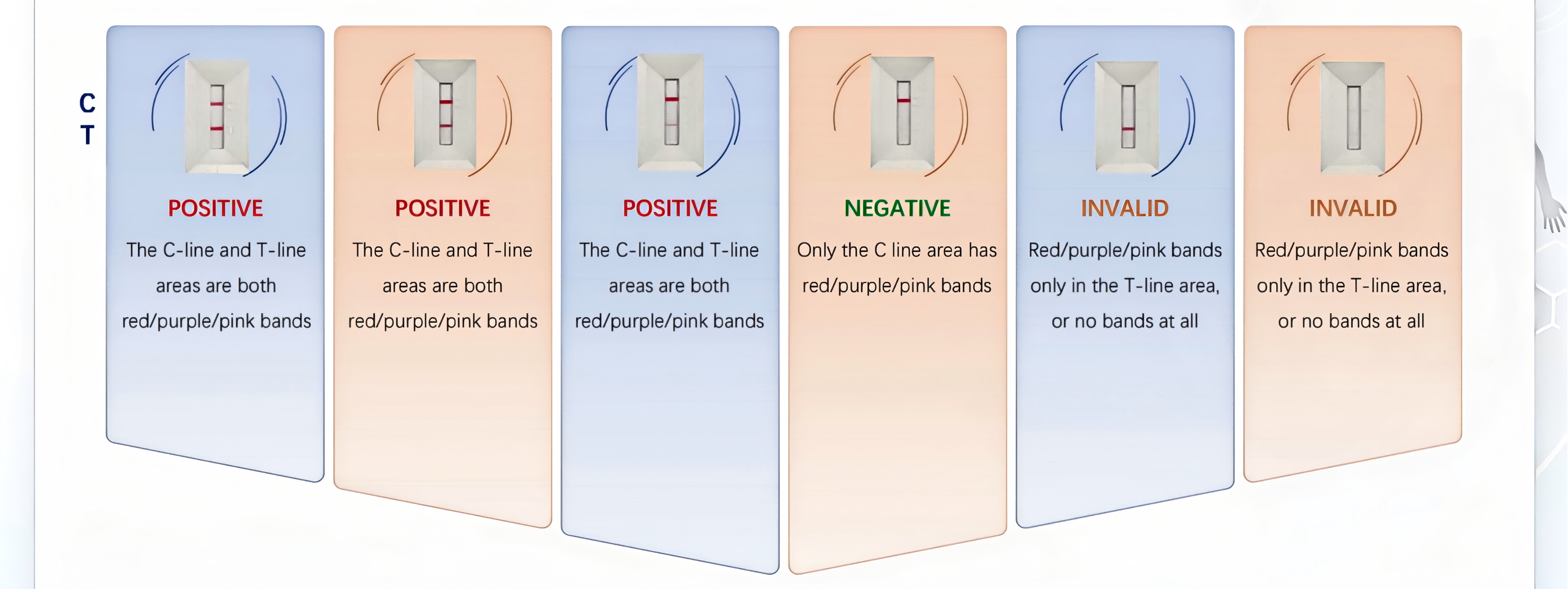 bioteke covid ag test results hasil tes covid ag
