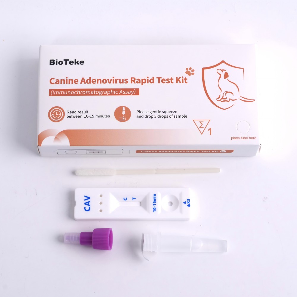 alat tes adenovirus anjing 