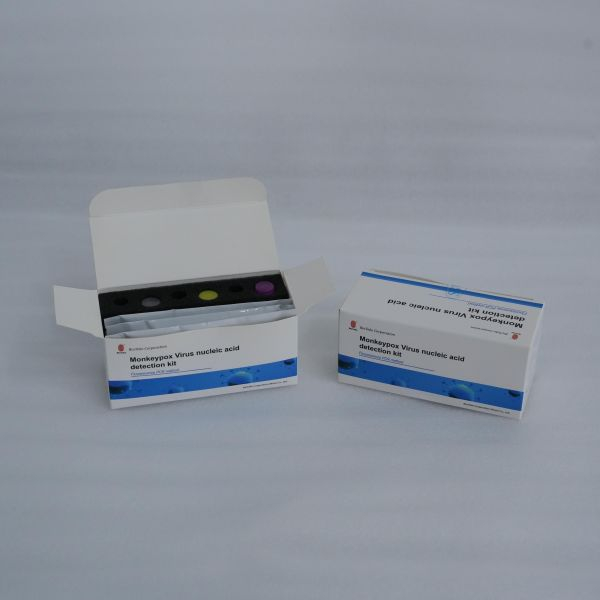 Kit Deteksi Asam Nukleat DNA Virus Cacar Monyet Reagen Lyophilized Akurasi Tinggi (PCR Fluoresensi)