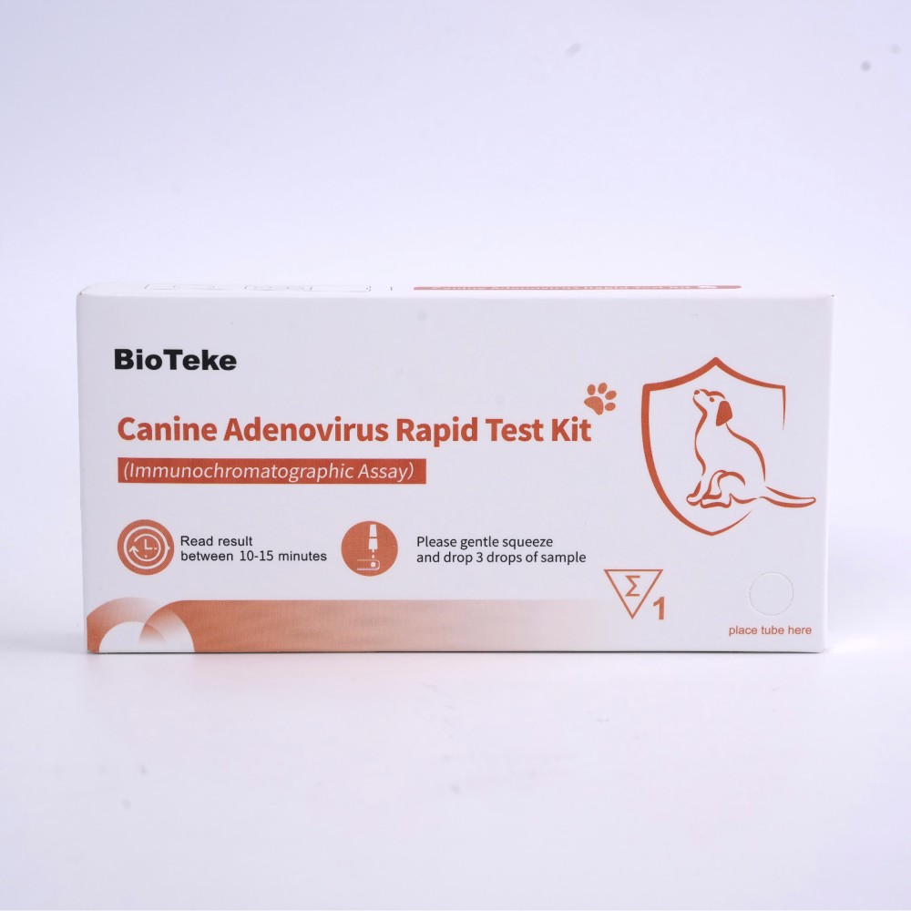 alat tes adenovirus anjing 
