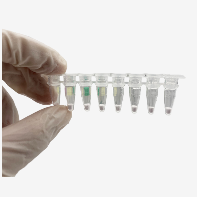Lab Bentuk Serbuk yang Disetujui CE Menggunakan reagen Pemeriksaan PCR