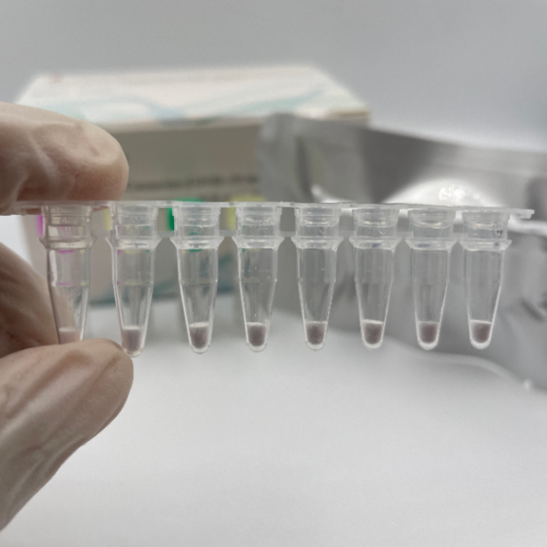 Kit PCR Novel Virus Corona (COVID-19) beku-kering portabel dengan sensitivitas tinggi 
