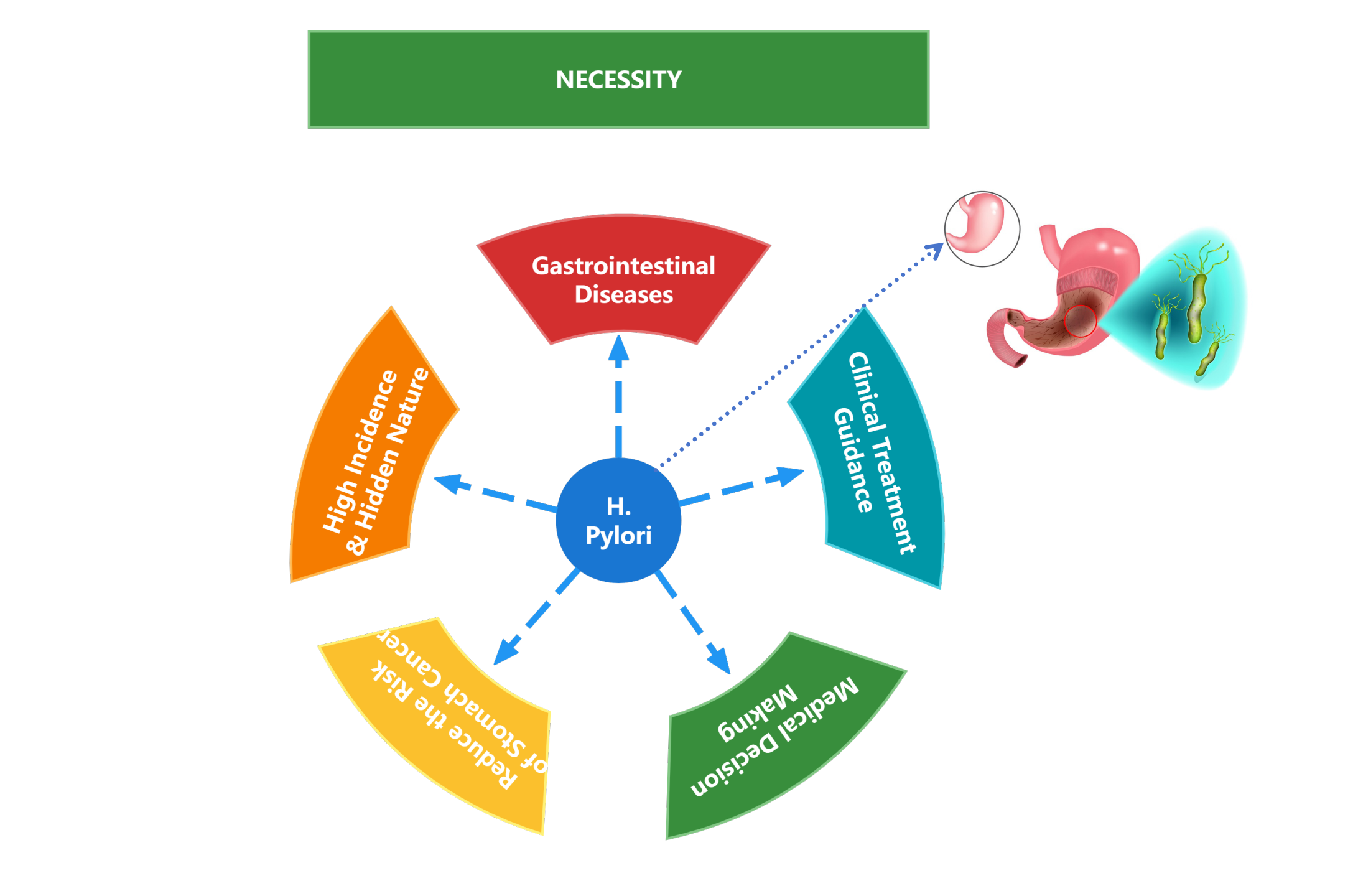 Alat tes cepat H. Pylori