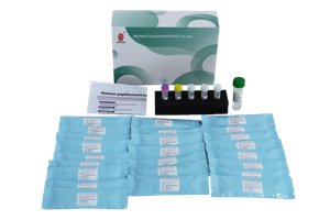 Kit Deteksi Genotipe HPV Human Papillomavirus (Metode PCR Fluoresensi) 