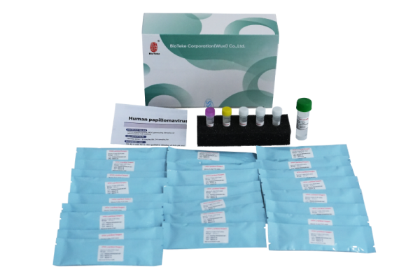Kit Deteksi Genotipe HPV Human Papillomavirus (Metode PCR Fluoresensi) 