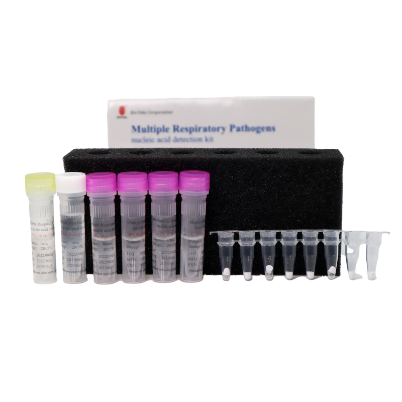Bioteke Alat Deteksi Asam Nukleat Beberapa Patogen Pernafasan (Metode PCR Fluoresensi)