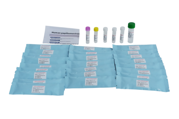 Kit Deteksi Genotip Human Papillomavirus (HPV) PR2026-HP01 (Metode PCR Fluoresensi)